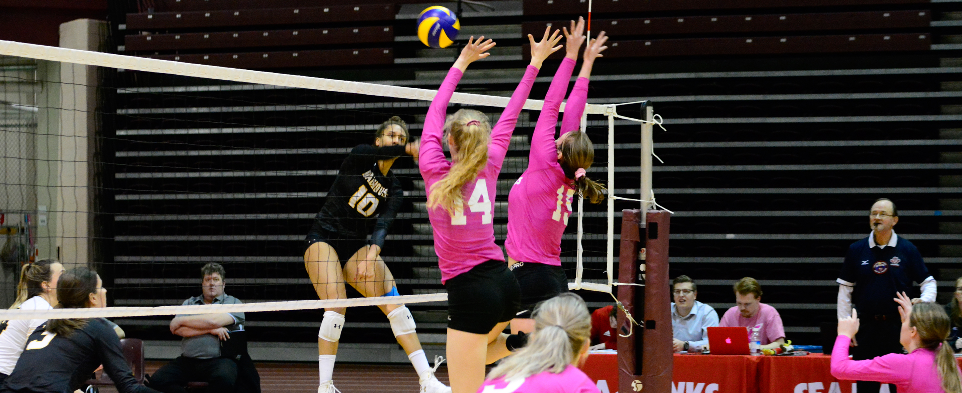 Sea-Hawks Downed 3-0 by Tigers