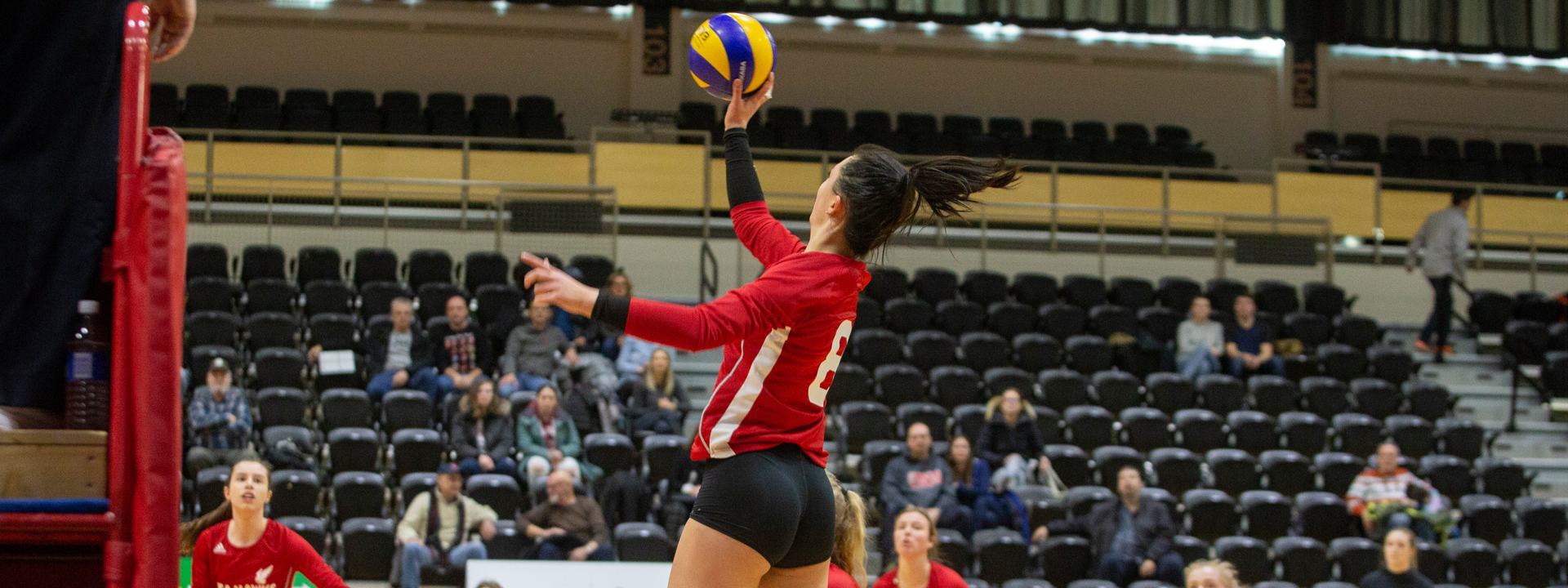 Sea-Hawks Swept at UNB