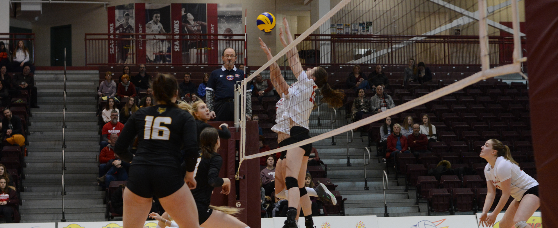 Sea-Hawks Swept by Tigers