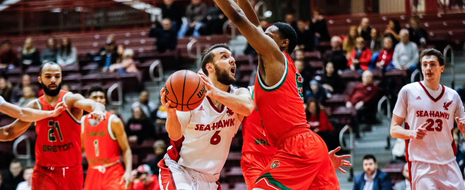 Hawks Top Cape Breton at Home