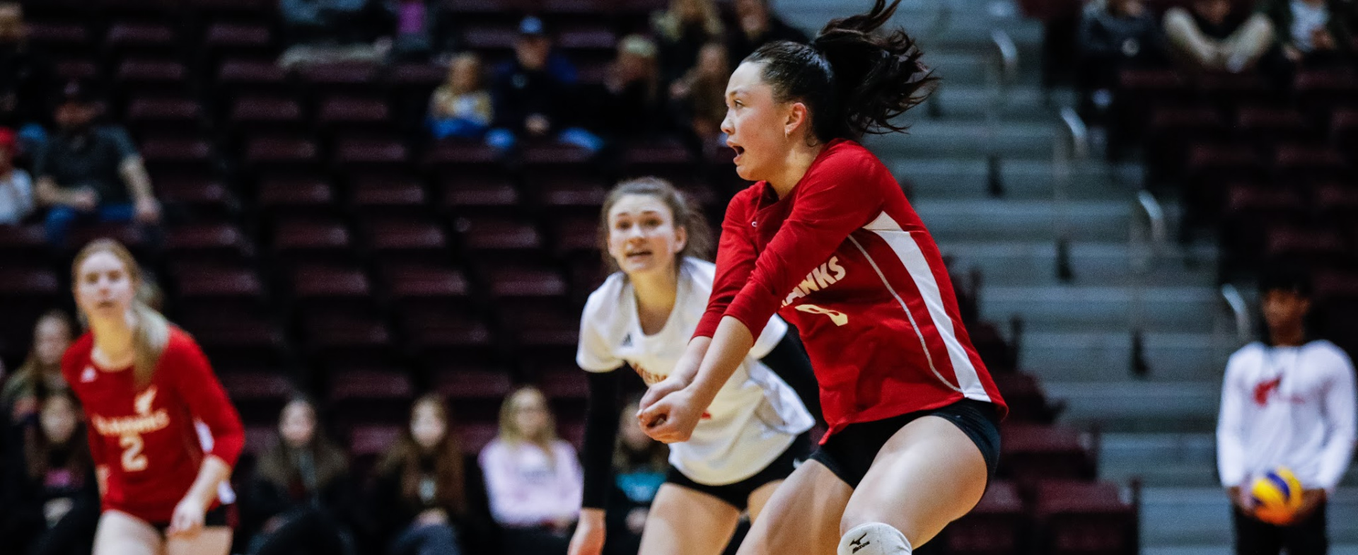 Aigles Bleus With Weekend Sweep