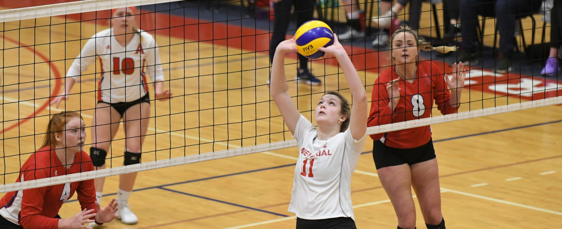 Hawks Drop Weekend Series at Acadia