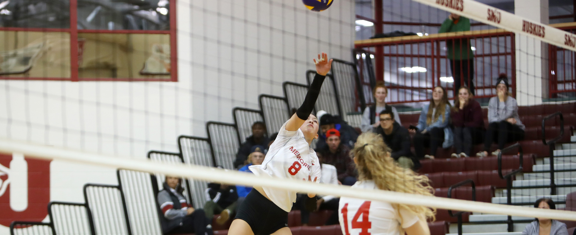 Hawks Swept by Huskies