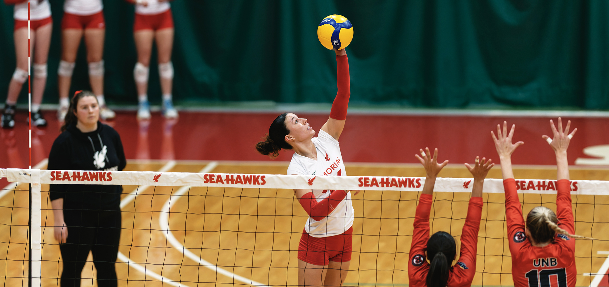 Memorial Sea-Hawks Set for Final Home Stand Against Acadia