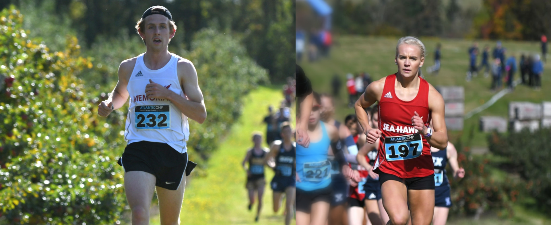 Hawks Runners Head to Nationals