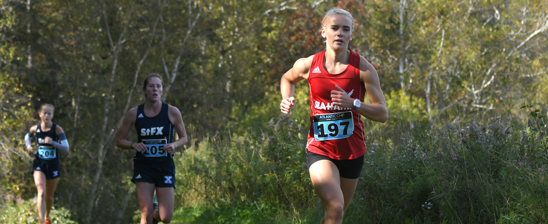 Sea-Hawks Cross Country is Back